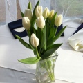 Wedding Tulips and baseballs